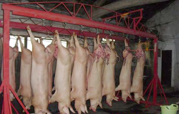 Protest pentru scăderea TVA la carne: sindicaliștii din Industria Alimentară au ieșit în stradă